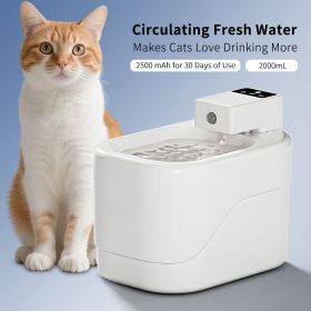 Small sugar pet water dispenser, multi-layer filtration to maintain water quality, large capacity water storage